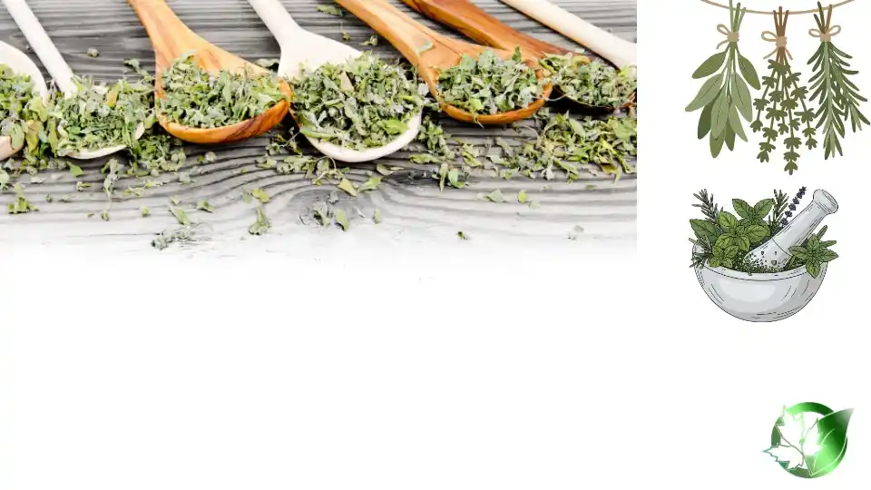 Vendor evaluation for Dried Herbs should cover specification, packaging, document package, logistics, and all-in receiving cost.